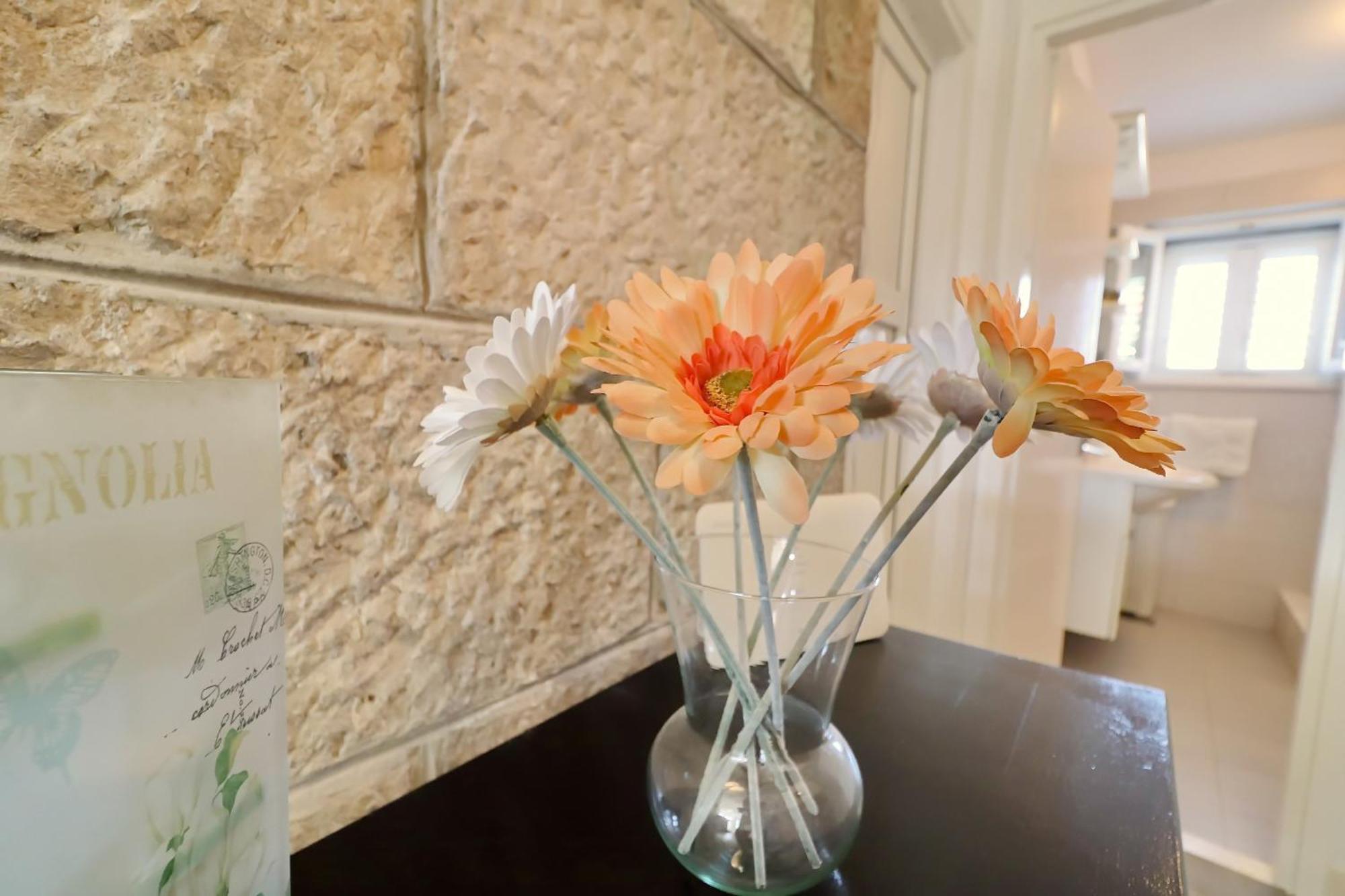 Villa Ivana Zrnovo Extérieur photo